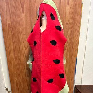 Rasta Impasta Watermelon Halloween Costume OSFM One Size Last Minute Easy